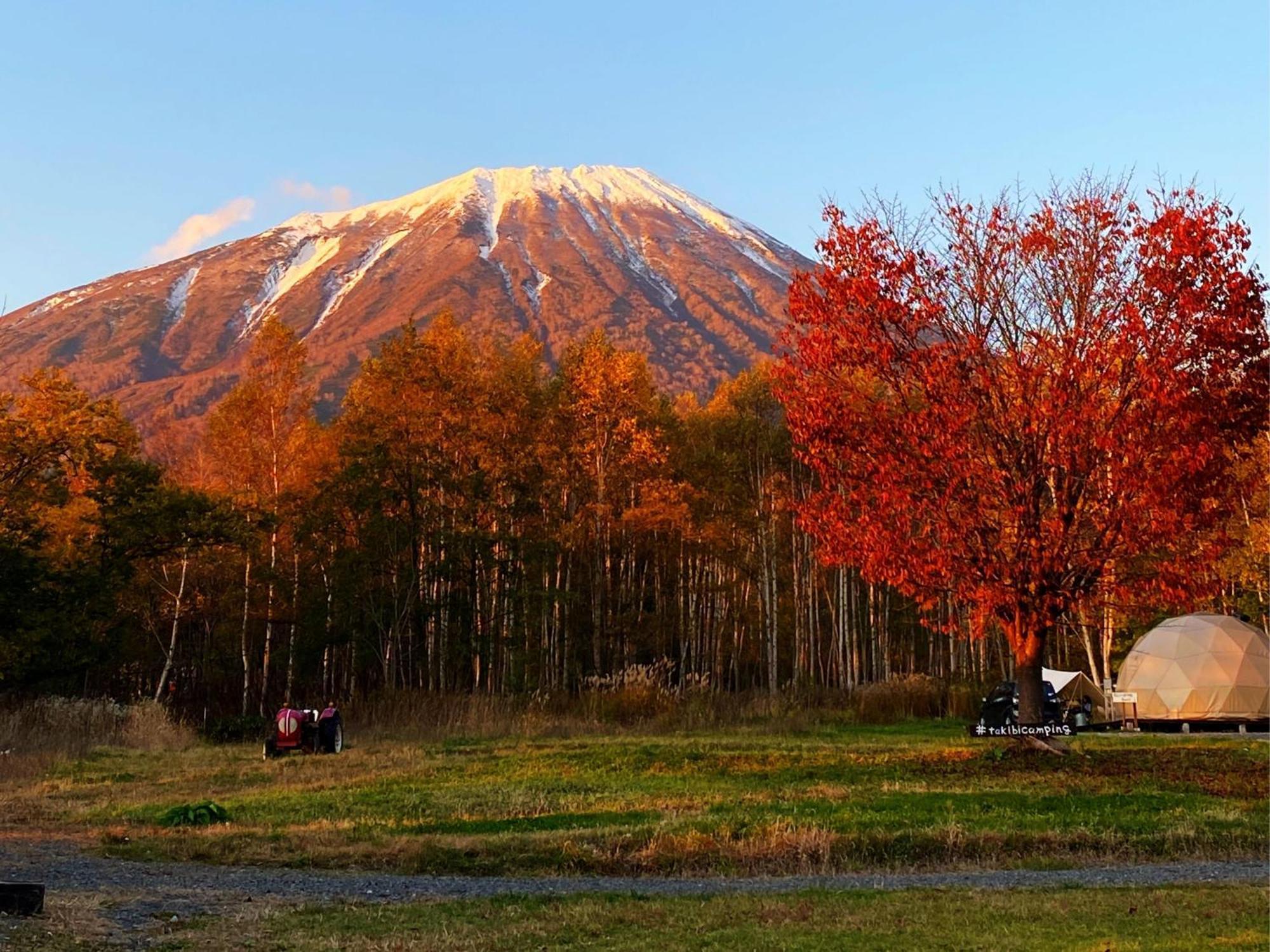 真狩村焚き火キャンプ場